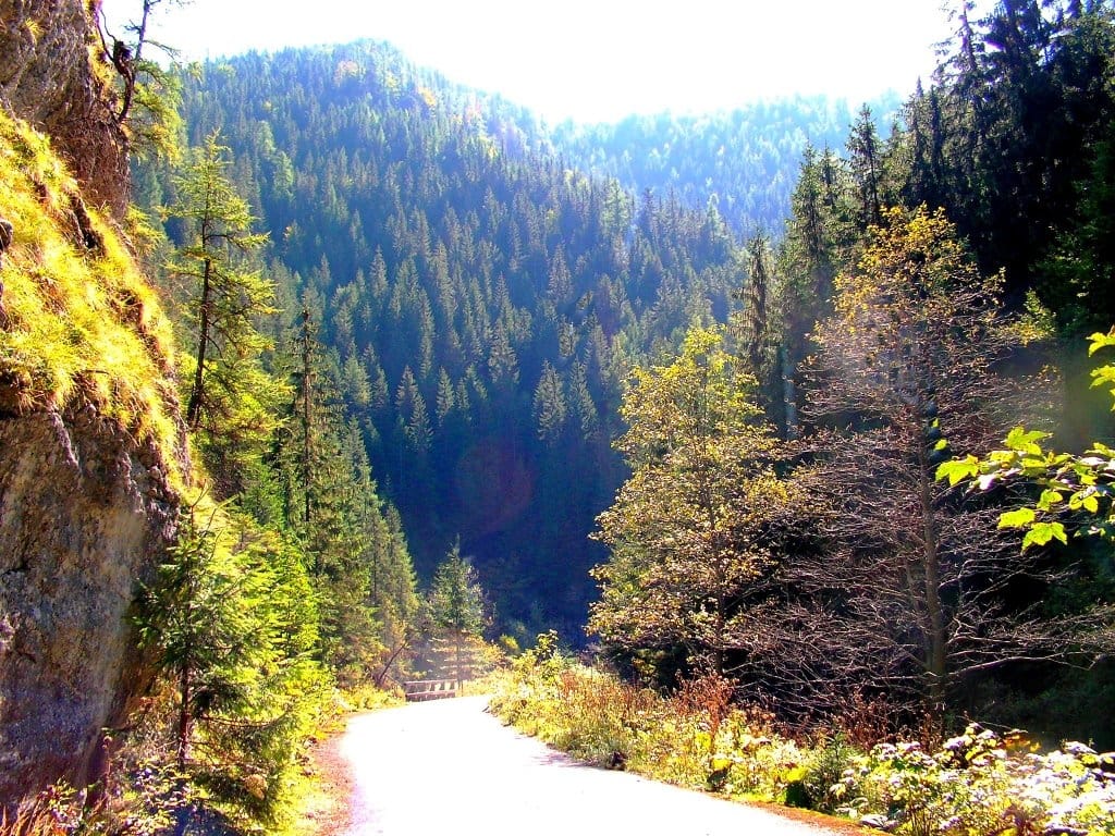 Stratenský canyon