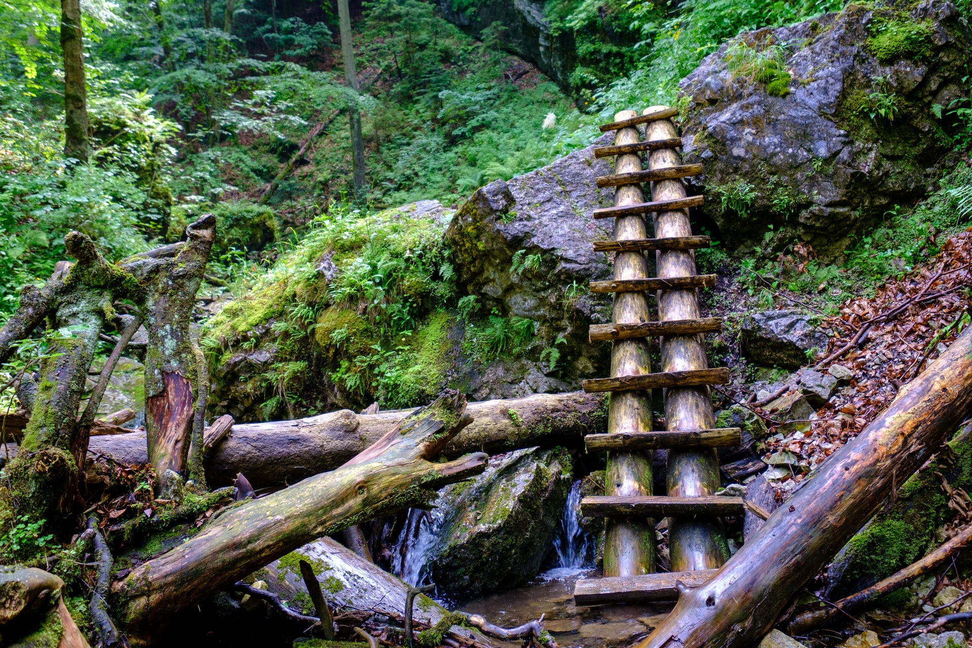 Slovak Paradise National Park