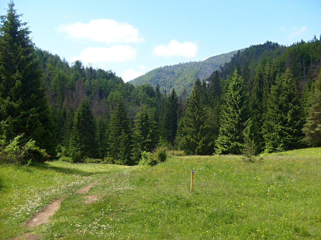 Prosiecka and Kvačianska valley